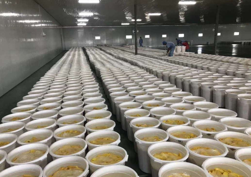 芒果不耐存儲，芒果烘干機(jī)解煩憂！