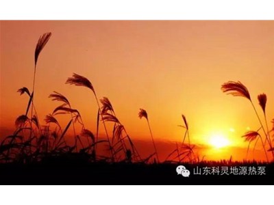 大愛初秋，醉美科靈