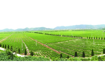 空氣能熱泵助力農(nóng)業(yè)烘干，行業(yè)增收上升扶貧效果明顯